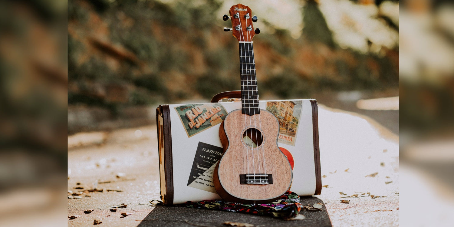 Instrumentos Musicales