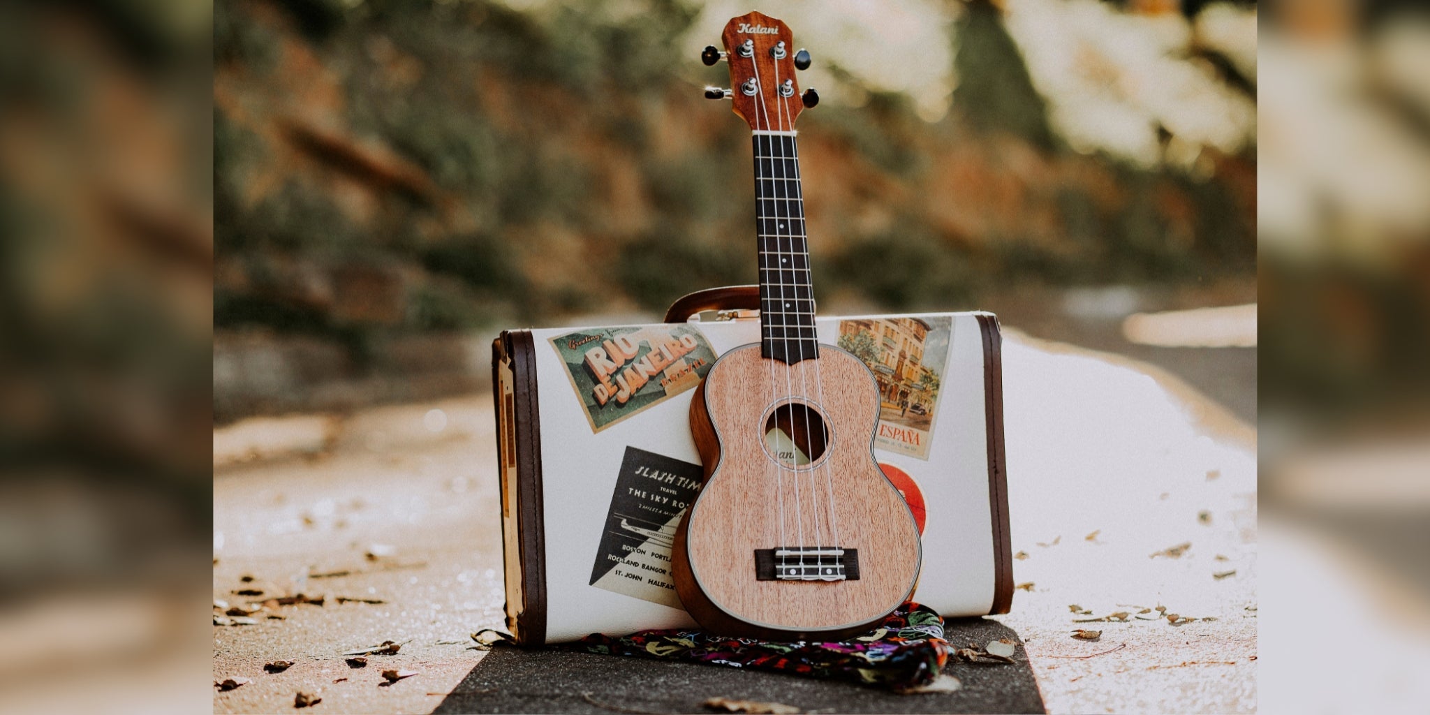 Instrumentos Musicales