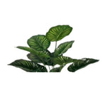 jpg_1500x1500_59520284