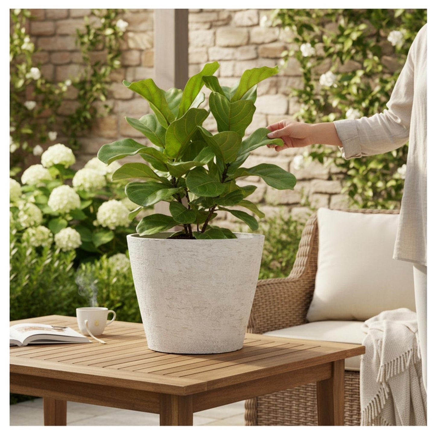 jpg_1500x1500_69109198