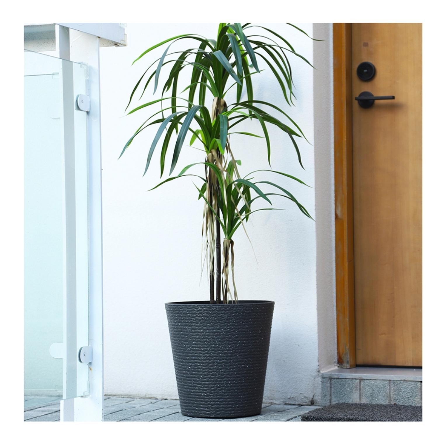 jpg_1500x1500_68817414