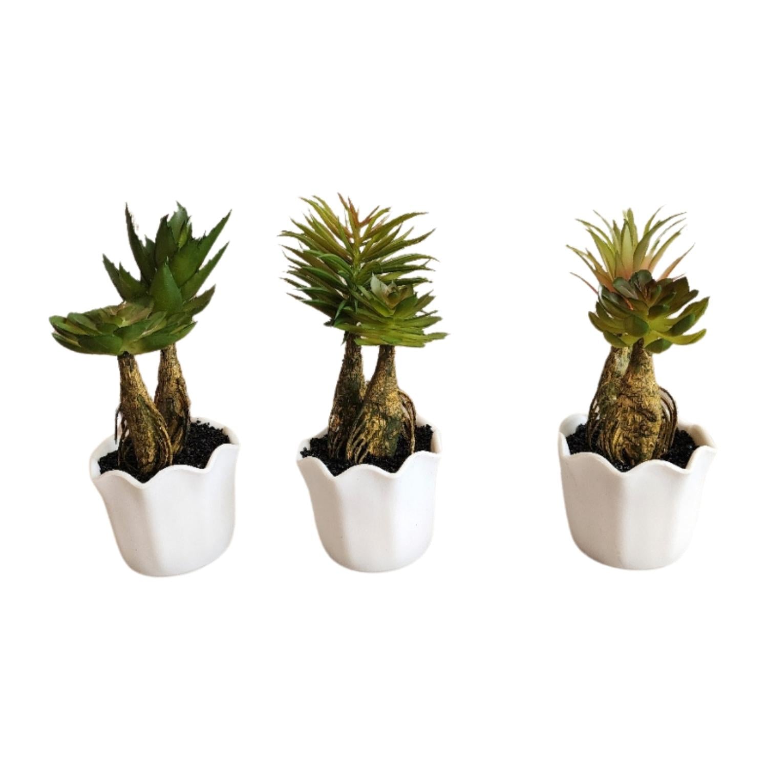 jpg_1500x1500_59726904