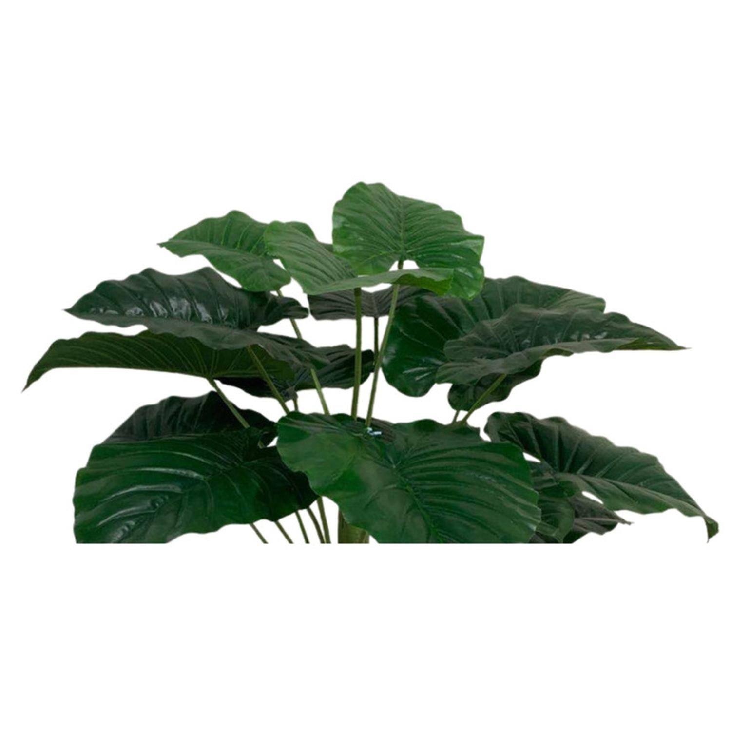 jpg_1500x1500_67499678